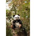 plüss óriás panda az erdőben