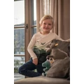 Thaisen és Joshi plüss T-rexek